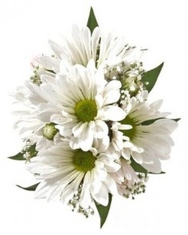 Delightful Daisy Wrist Corsage Corsage
