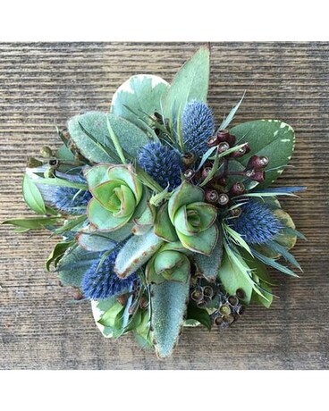 Soft and Succulent Wrist Corsage Corsage