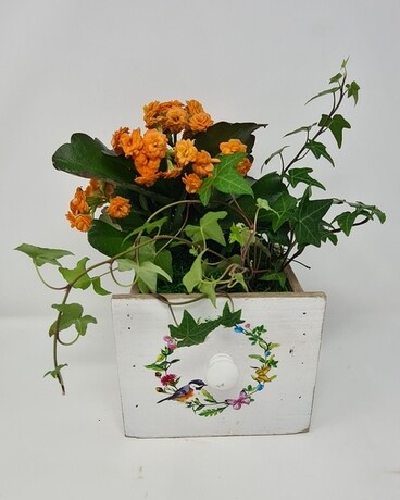 Chickadee's Treasure Planter Plant