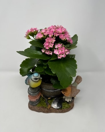 Tweet Tweet Planter Plant