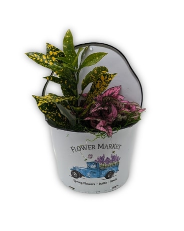 The Flower Market Wall Planter Plant