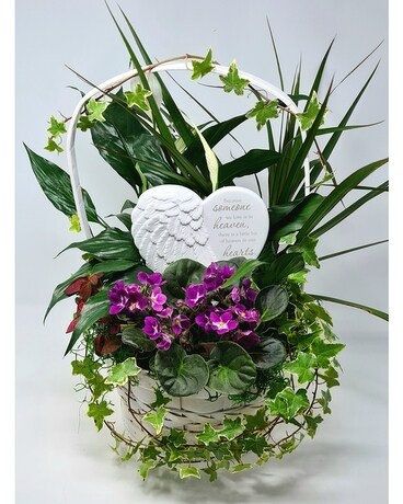 Heaven's Heart Planter Plant