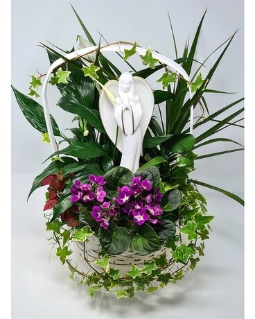 Angel of Grace Planter Plant