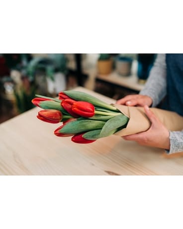 Wrapped Red Tulips Flowers