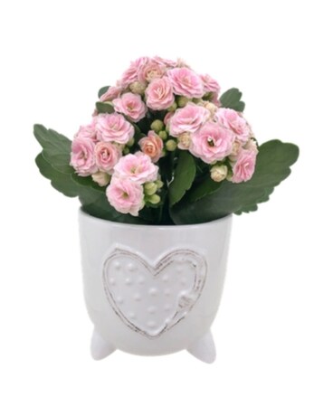 Ceramic Heart Planter Dish Garden Plant