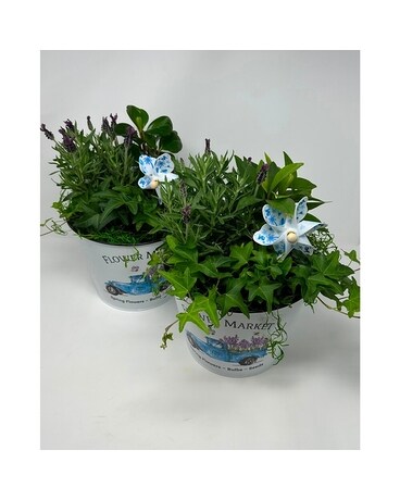 Flower Market Planter Plant