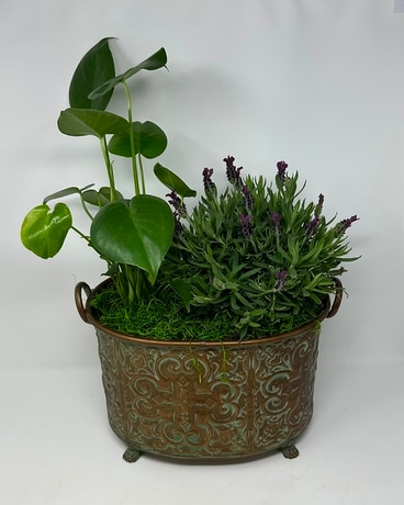 Lavender Tranquility Planter Flower Arrangement
