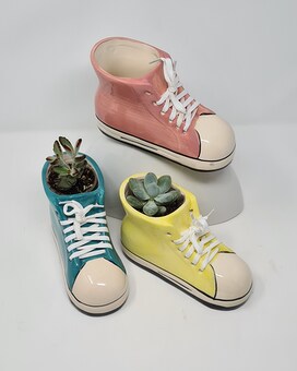 Succulent Shoes Plant