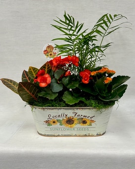Botanical Fall Garden Plant