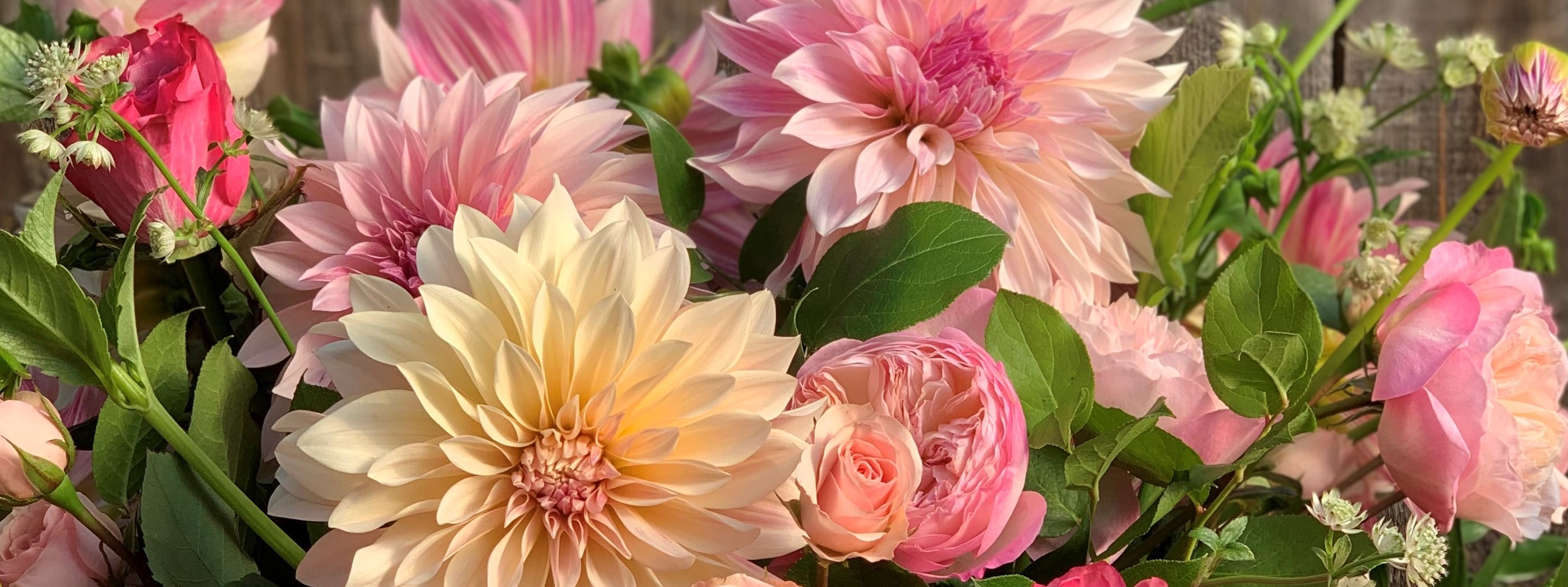 Marion Florist Flower Delivery by Eden Florist & Garden Shop