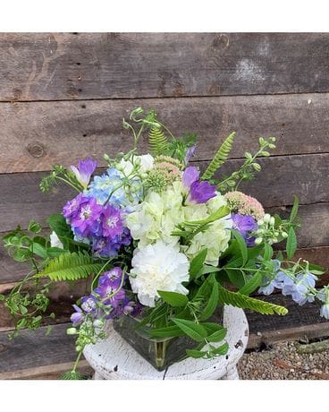 Larkspur Flower Flower Arrangement