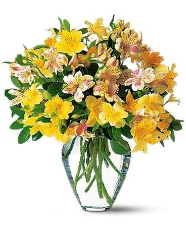 Sparkling Alstroemeria - by Top Florist Flower Arrangement