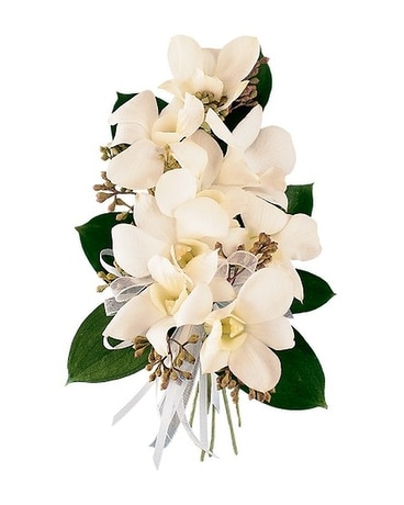 White Dendrobium Corsage Flower Arrangement