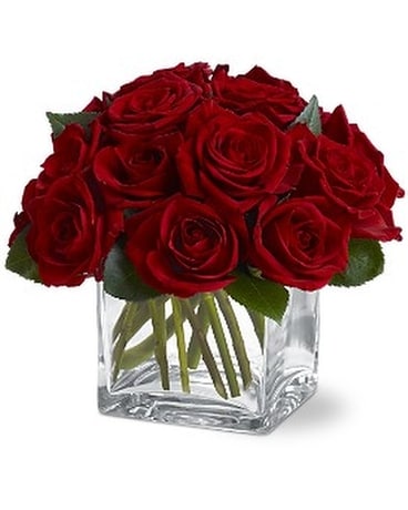 TF's Dozen Rose Contempo Flower Arrangement