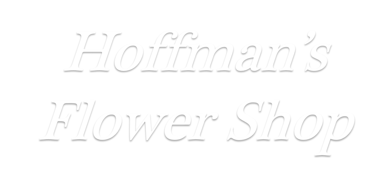 Baltimore Florist Flower Delivery By Hoffman S Flower Shop