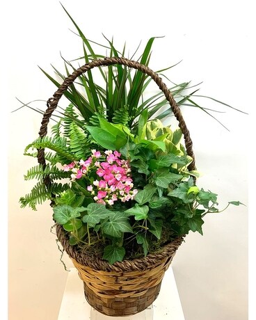 High Handle Planter Basket - Large Flower Arrangement
