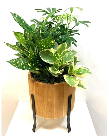 Rockway Garden Wood Planter Flower Arrangement