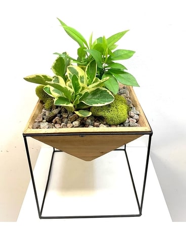 Hadley Wood Planter Flower Arrangement