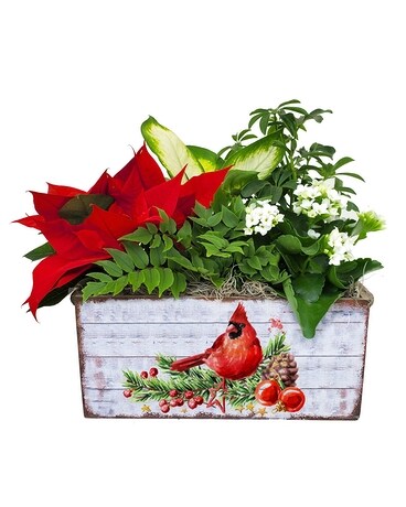 Cardinal Planter Box Flower Arrangement