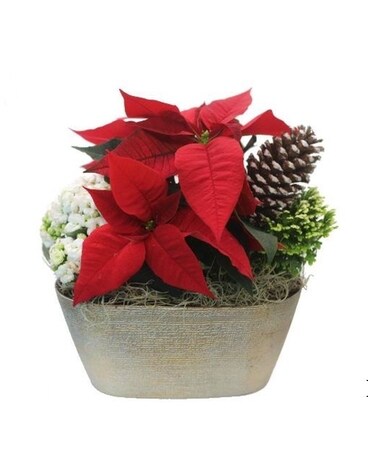 Christmas Oval Planter Flower Arrangement