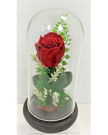 Forever Rose - Red Flower Arrangement