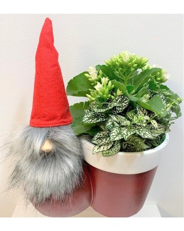 Gnome Ceramic Planter Flower Arrangement