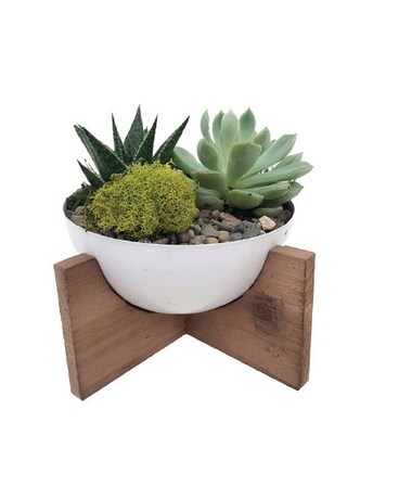 Succulent Garden with Wood Stand Flower Arrangement