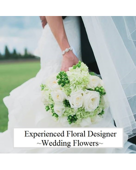 Part-time/Full-Time size,  inches height and  inches wide.