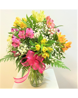 Mixed Colours size,  inches height and  inches wide.