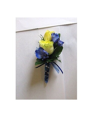 Yellow & Blue Bout