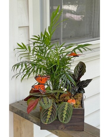 Walker's Point Plant