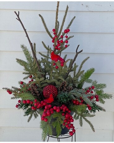 Cardinal Planter Specialty Arrangement