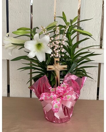 Easter Lily with Cross Plant
