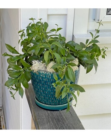 Park West Plant