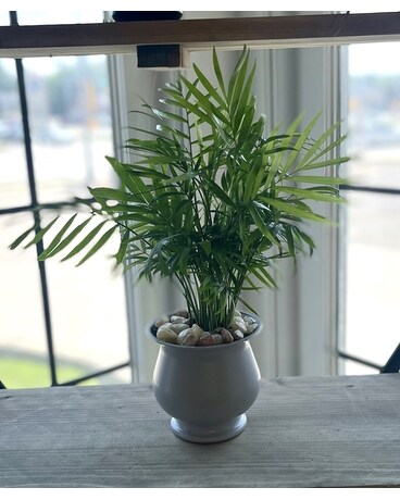 Bay View Plant