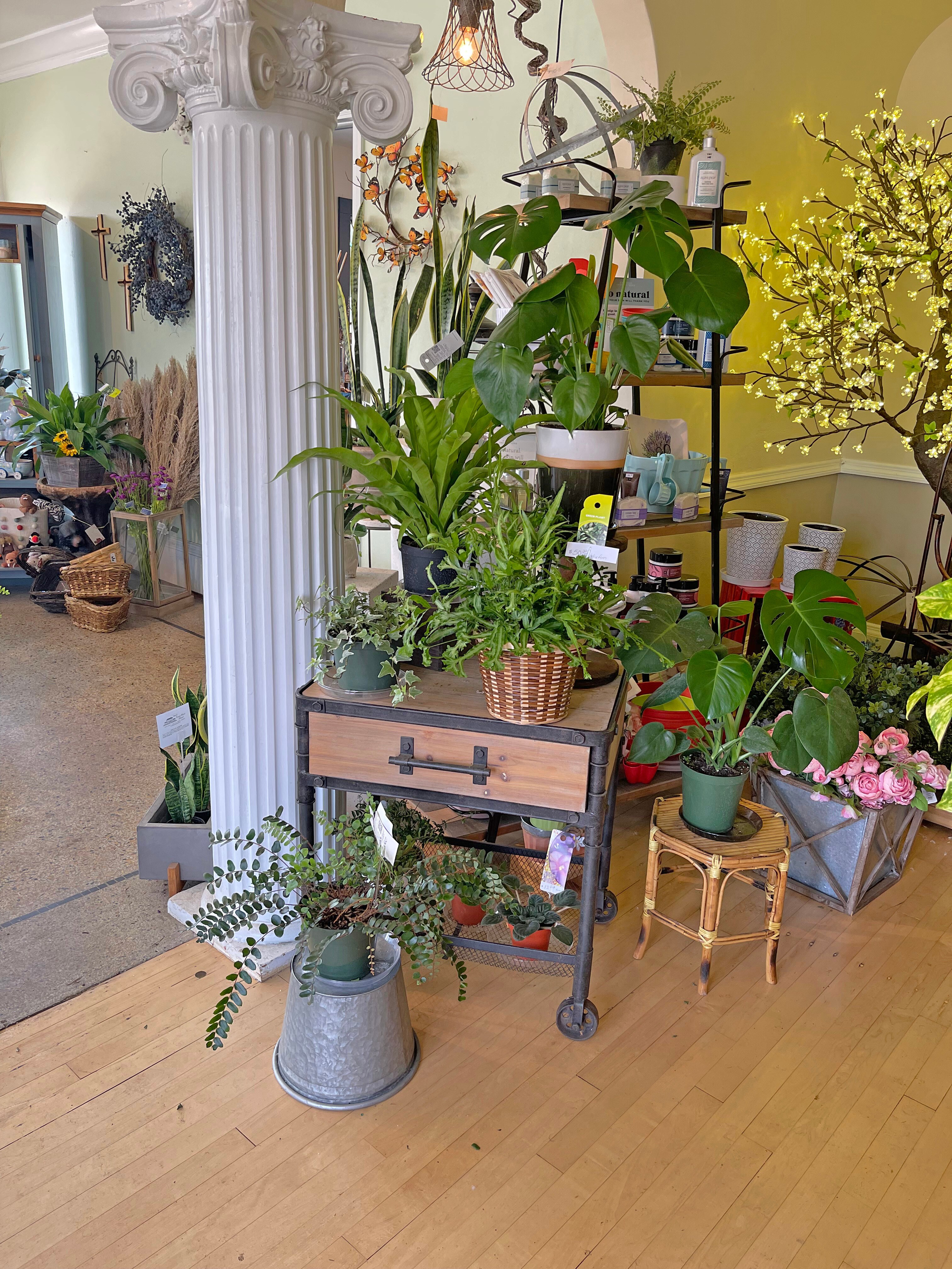 Our Store