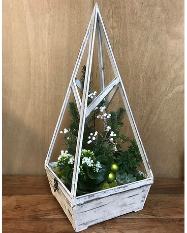 WINTER WONDERLAND GARDEN Dish Garden Plant