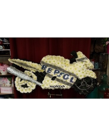 Street Cycle Sympathy Arrangement