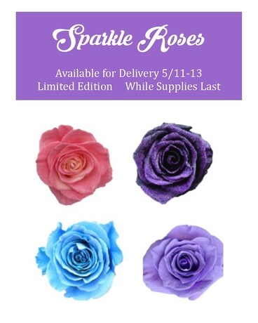 One Dozen Sparkle Roses Flower Arrangement