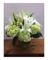Premium size,  inches height and  inches wide.