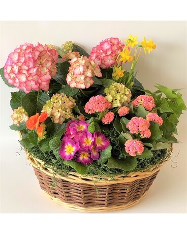 Garden Gate Flower Arrangement