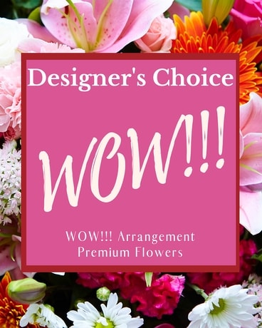 DESIGNER'S CHOICE - SPOIL THEM!