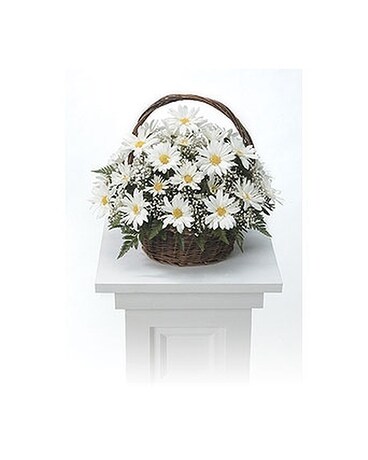 Basket Arrangement Basket Arrangement