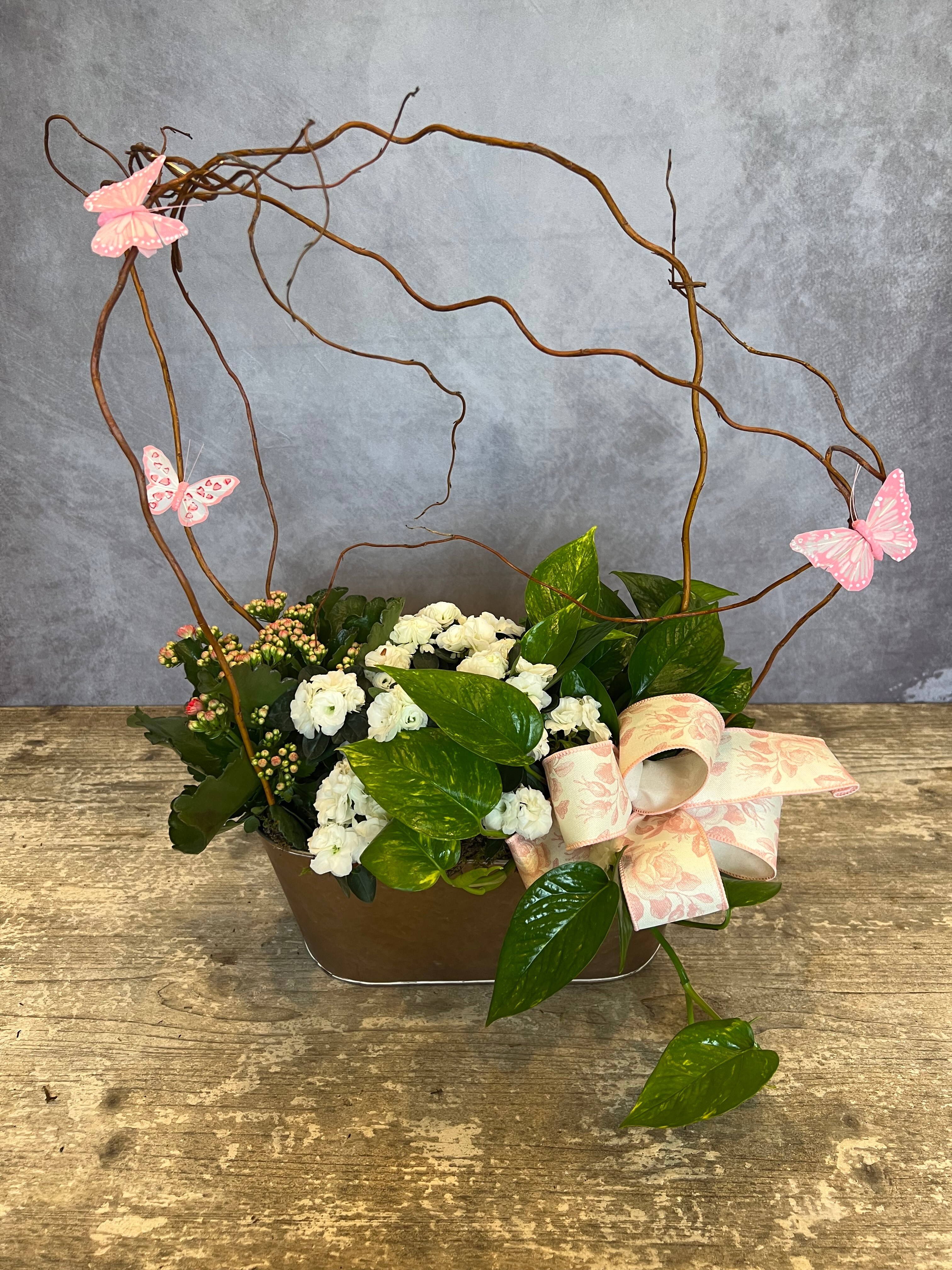 European Garden with Willow & Butterflies Plant