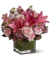 Standard size, 14 inches height and 13.5 inches wide.