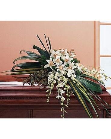 White Orchid Spray - by Lary's Florist & Designs L Flower Arrangement