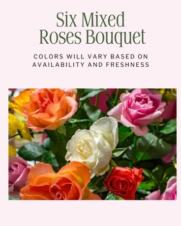 6 Mixed Color Roses Bouquet