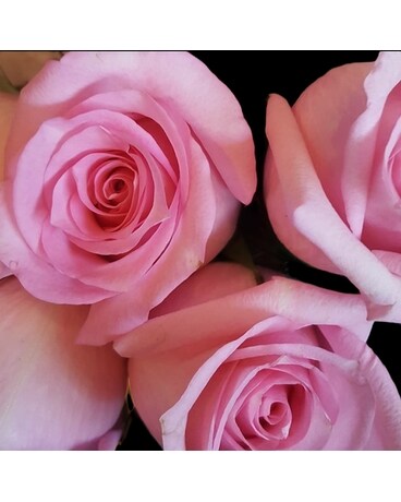 Pink Roses Flower Arrangement