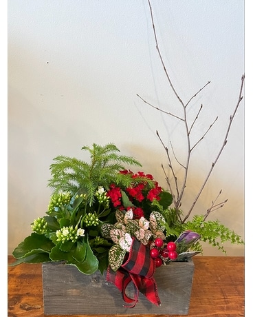 Christmas Farmhouse Plant