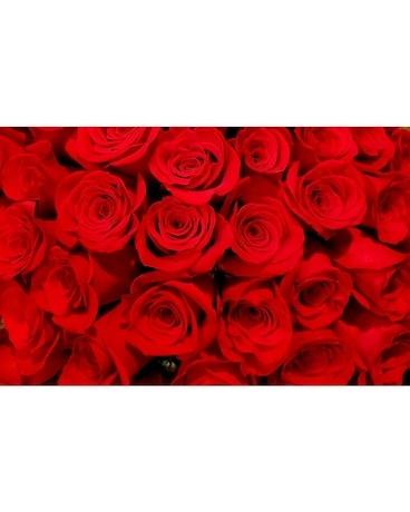 Red Roses Flower Arrangement